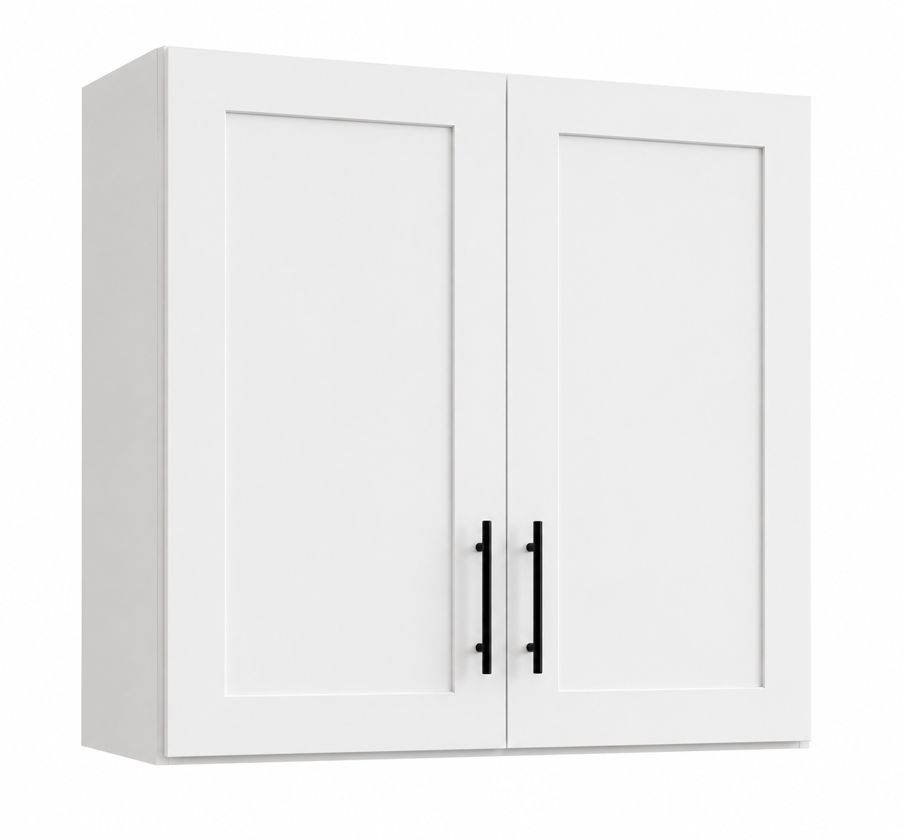 Two-Door Wall Cabinet